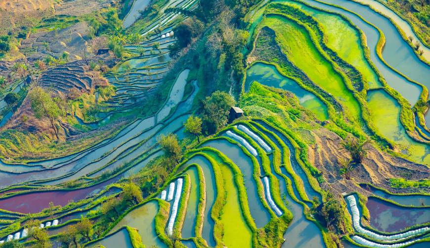 为什么一个产品需要进行品牌定位